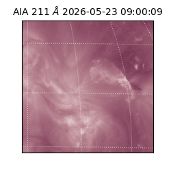 saia - 2026-05-23T09:00:09.621000
