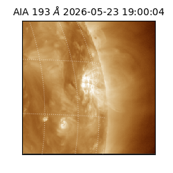 saia - 2026-05-23T19:00:04.842000