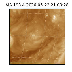 saia - 2026-05-23T21:00:28.842000
