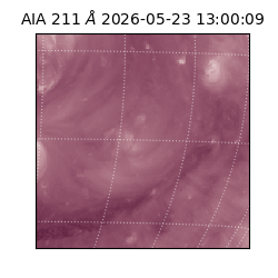 saia - 2026-05-23T13:00:09.623000