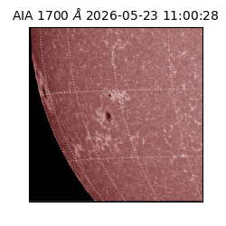 saia - 2026-05-23T11:00:28.716000