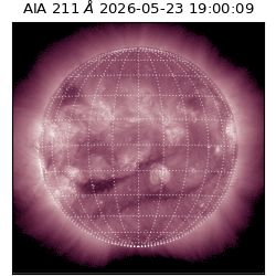 saia - 2026-05-23T19:00:09.623000