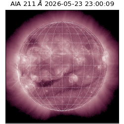 saia - 2026-05-23T23:00:09.623000
