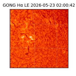 gong - 2026-05-23T02:00:42