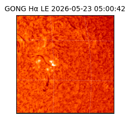 gong - 2026-05-23T05:00:42