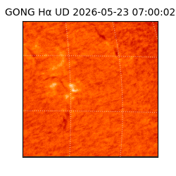 gong - 2026-05-23T07:00:02
