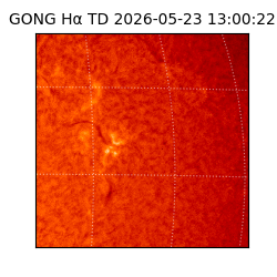 gong - 2026-05-23T13:00:22