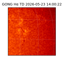 gong - 2026-05-23T14:00:22