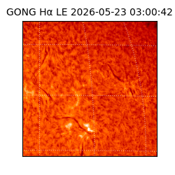 gong - 2026-05-23T03:00:42
