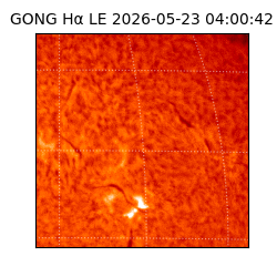 gong - 2026-05-23T04:00:42