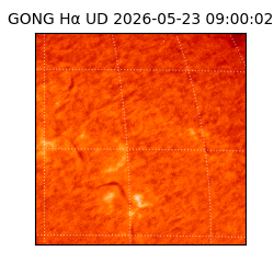 gong - 2026-05-23T09:00:02