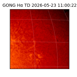 gong - 2026-05-23T11:00:22
