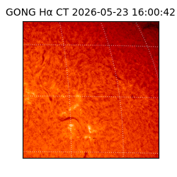 gong - 2026-05-23T16:00:42