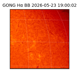 gong - 2026-05-23T19:00:02