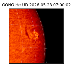 gong - 2026-05-23T07:00:02