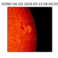 gong - 2026-05-23T09:00:02