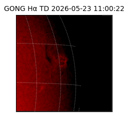 gong - 2026-05-23T11:00:22