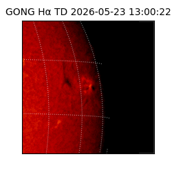 gong - 2026-05-23T13:00:22