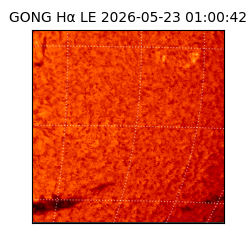 gong - 2026-05-23T01:00:42