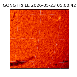 gong - 2026-05-23T05:00:42