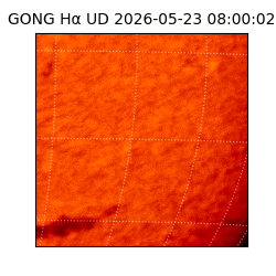 gong - 2026-05-23T08:00:02