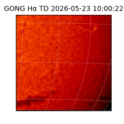 gong - 2026-05-23T10:00:22