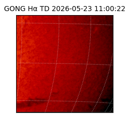 gong - 2026-05-23T11:00:22
