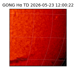 gong - 2026-05-23T12:00:22