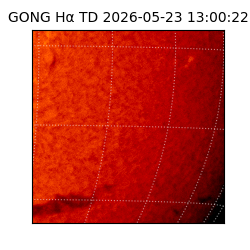 gong - 2026-05-23T13:00:22