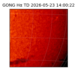 gong - 2026-05-23T14:00:22