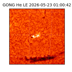 gong - 2026-05-23T01:00:42