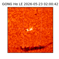 gong - 2026-05-23T02:00:42