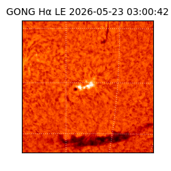gong - 2026-05-23T03:00:42