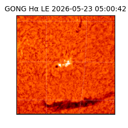 gong - 2026-05-23T05:00:42