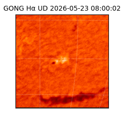 gong - 2026-05-23T08:00:02