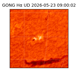 gong - 2026-05-23T09:00:02