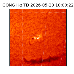 gong - 2026-05-23T10:00:22
