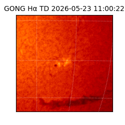 gong - 2026-05-23T11:00:22