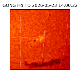 gong - 2026-05-23T14:00:22