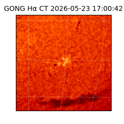 gong - 2026-05-23T17:00:42