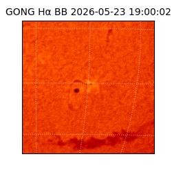gong - 2026-05-23T19:00:02