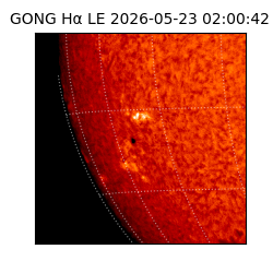 gong - 2026-05-23T02:00:42