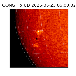 gong - 2026-05-23T06:00:02