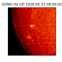 gong - 2026-05-23T08:00:02