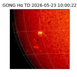 gong - 2026-05-23T10:00:22