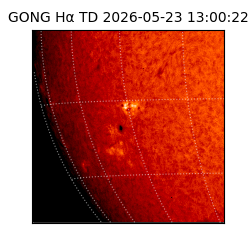 gong - 2026-05-23T13:00:22