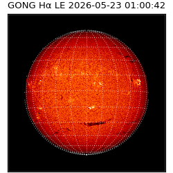 gong - 2026-05-23T01:00:42