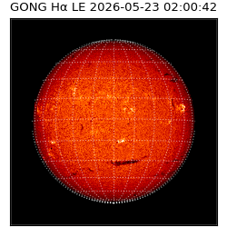 gong - 2026-05-23T02:00:42