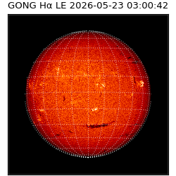 gong - 2026-05-23T03:00:42