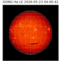 gong - 2026-05-23T04:00:42